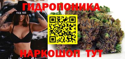 a pvp Краснокаменск