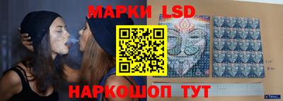 a pvp Краснокаменск