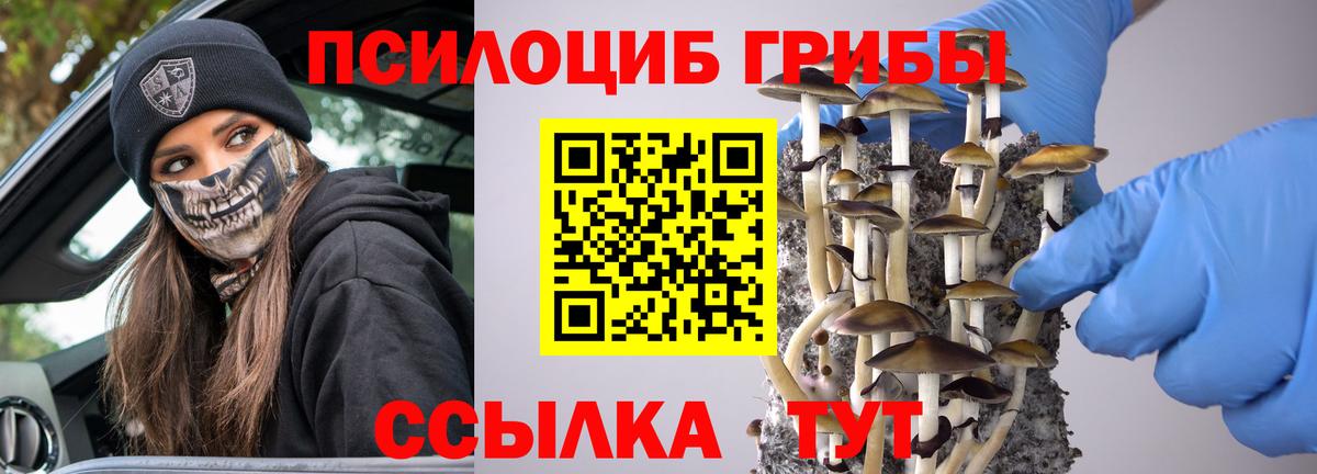 Галлюциногенные грибы прущие грибы Железногорск